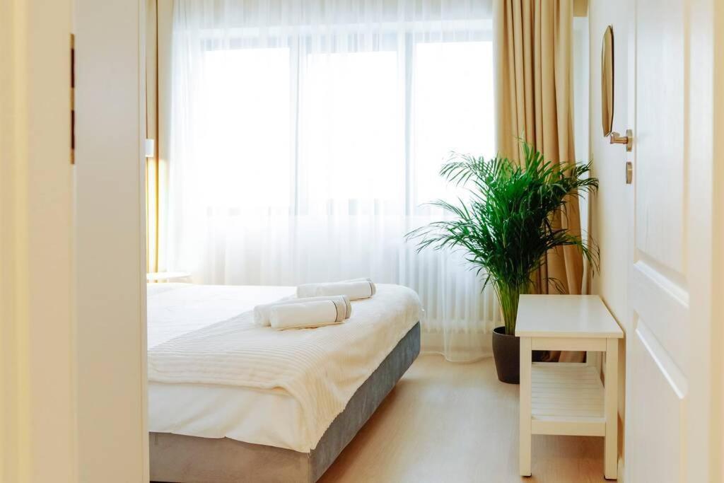 בוקרשט Elegant Vibes Apartment Next To Obor Market מראה חיצוני תמונה
