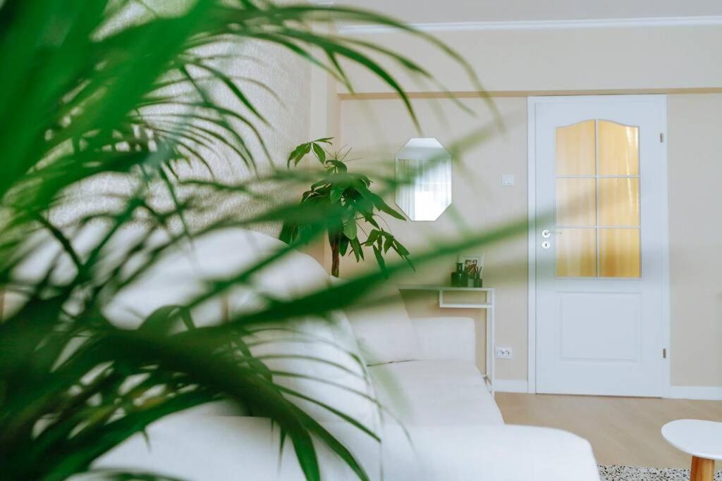 בוקרשט Elegant Vibes Apartment Next To Obor Market מראה חיצוני תמונה